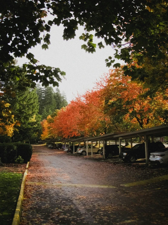 an empty road with cars parked on both sides and trees in the background