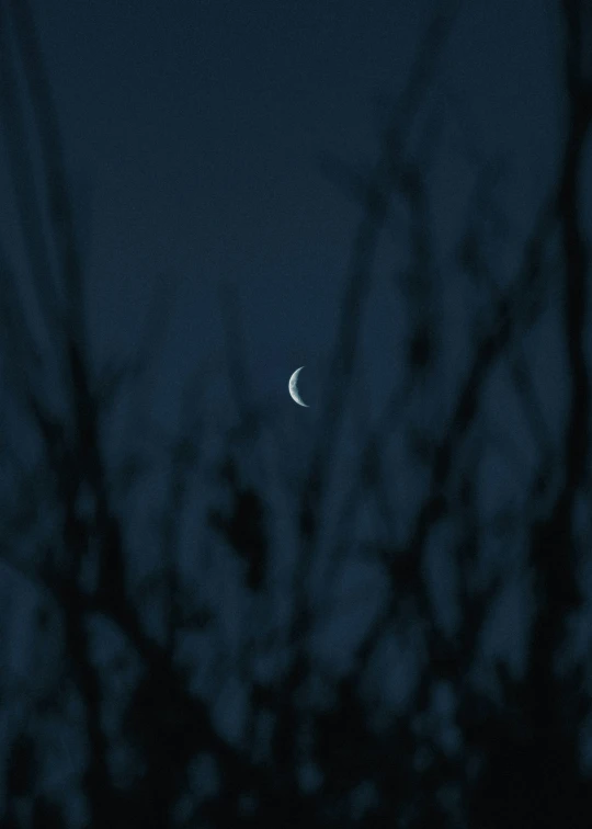 the moon shining across the night sky