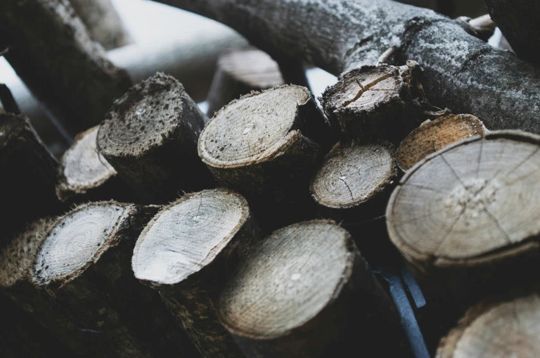 a pile of chopped wood sitting next to a stack of logs