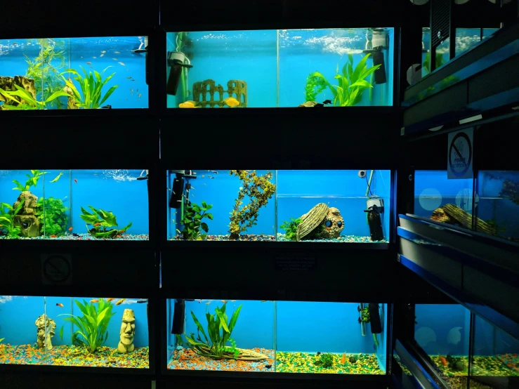 a wall with a fish tank in it