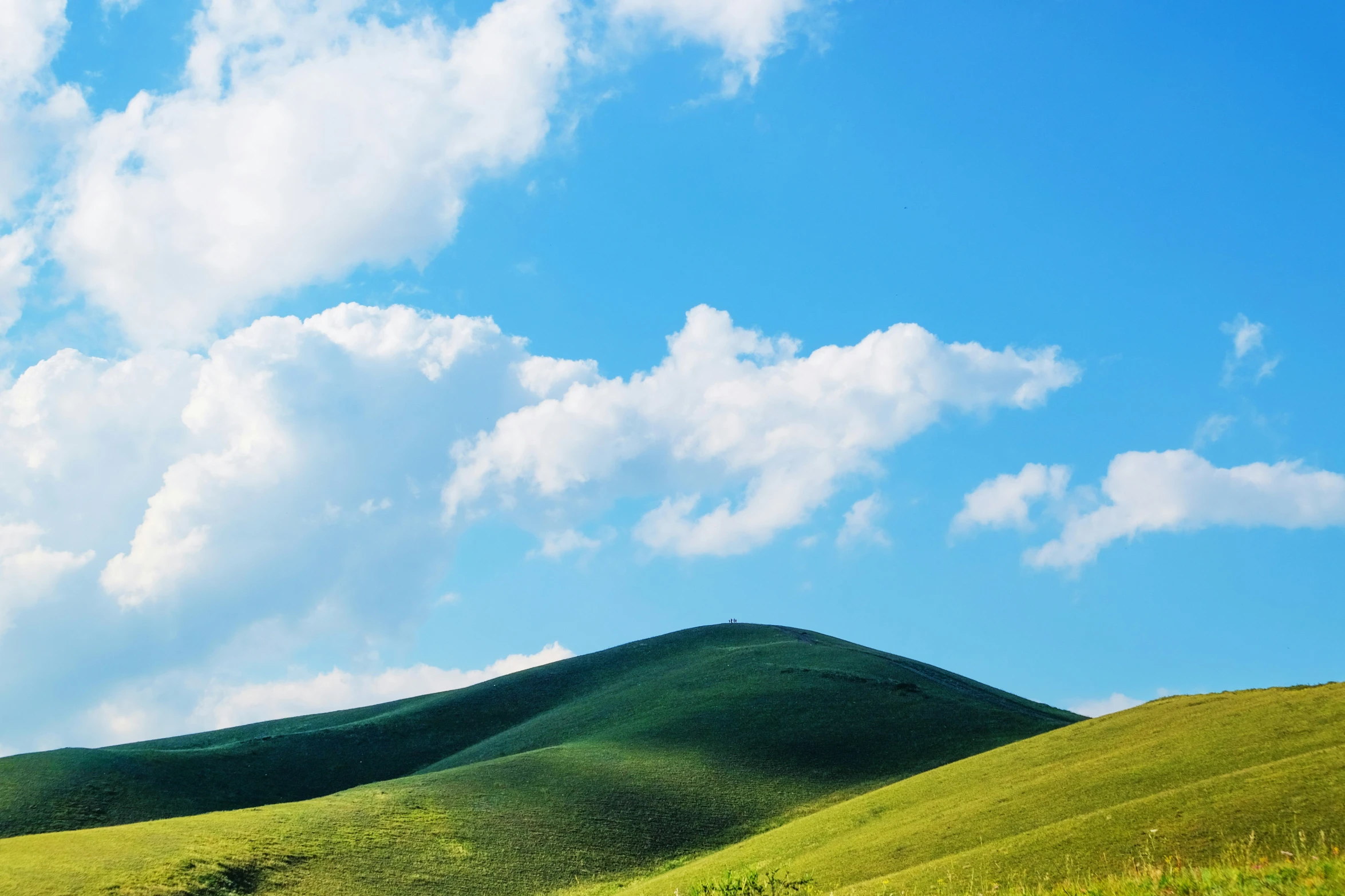 this is a beautiful grassy hill under blue skies