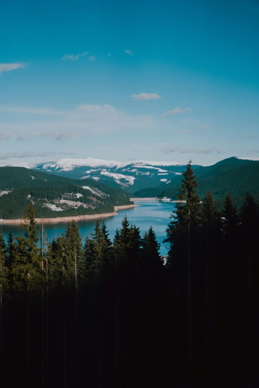 snow capped mountains sit on top of trees in the distance