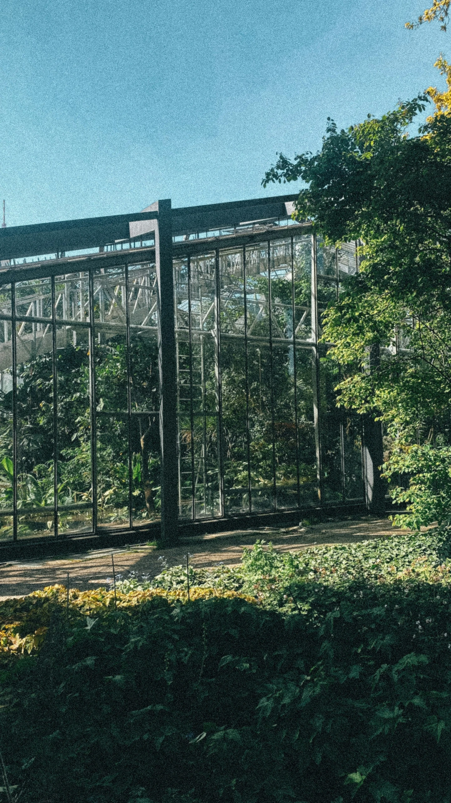 a structure with windows and glass near bushes