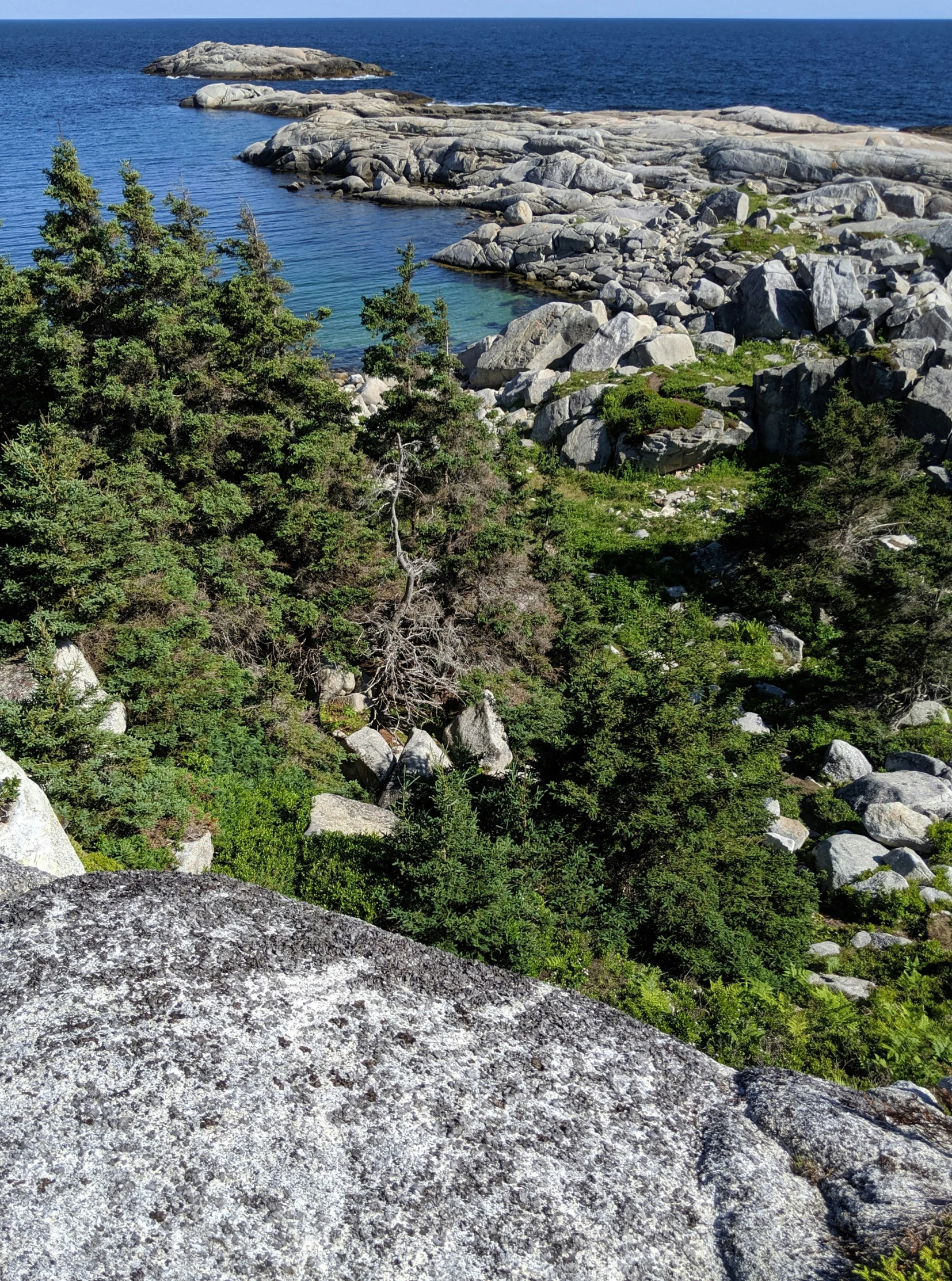 an ocean landscape with rocks and trees at the coast