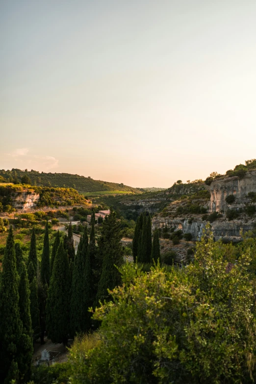 some houses that are on a hillside with many trees