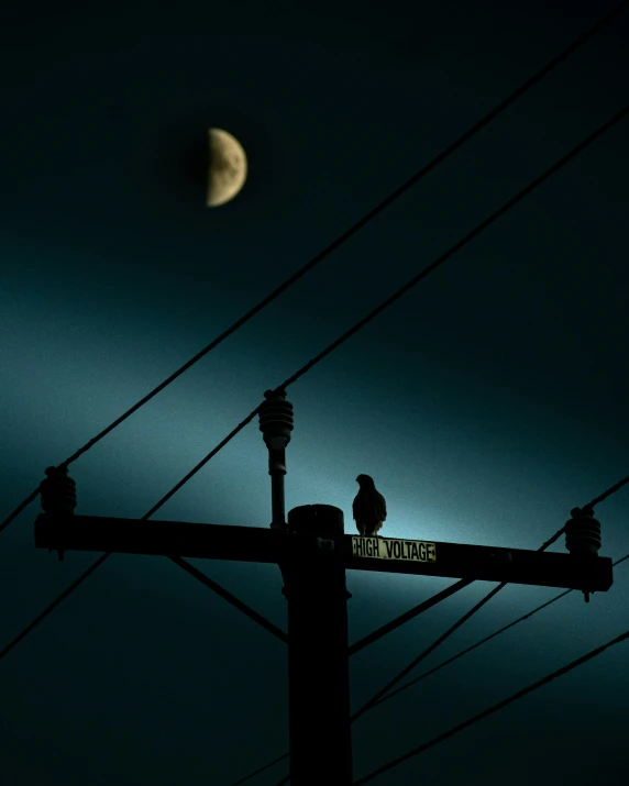 a full moon shines over telephone poles and the city