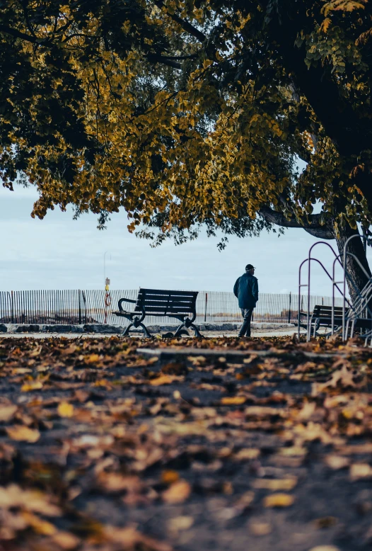 a man stands by the edge of a park in front of an empty bench with no one on it