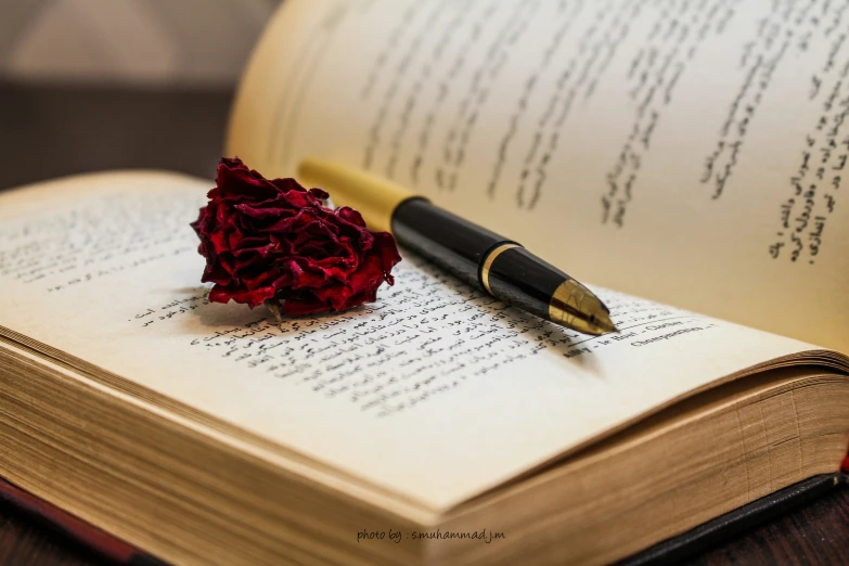 an open book with a pen and flower on it