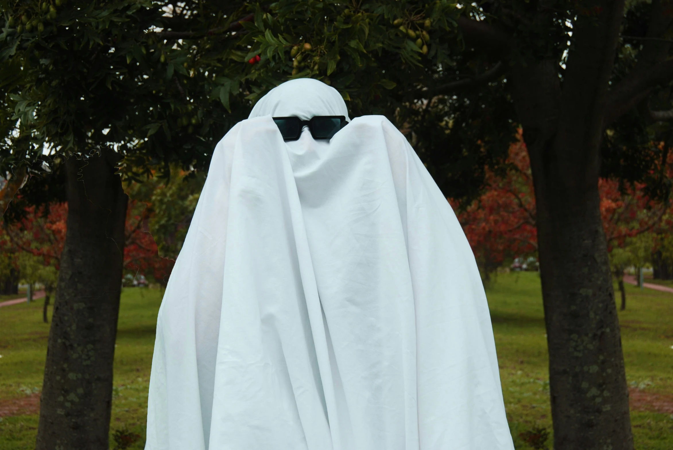 the person wearing sunglasses and a white cloak is standing in a field of trees