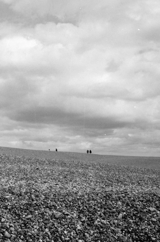 three people are on the shore with surfboards