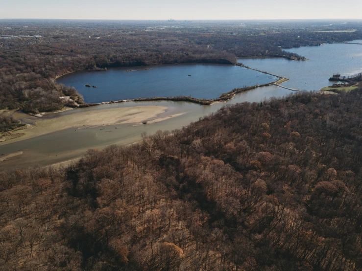 a body of water with land and a wooded area