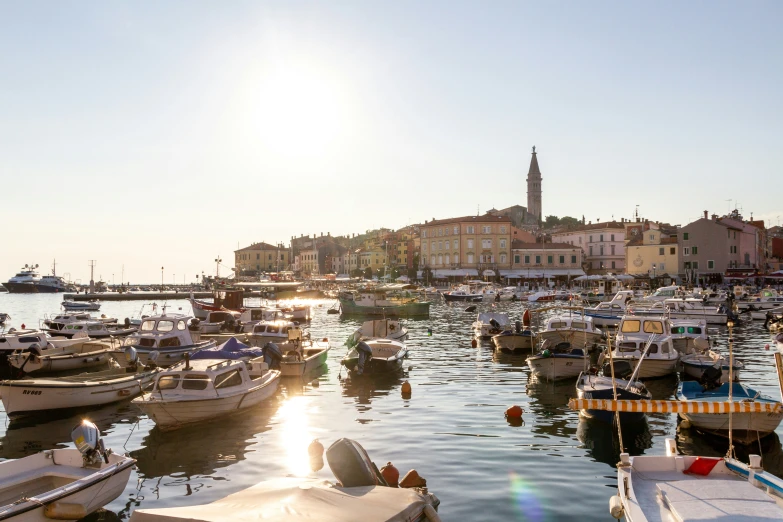 many boats are moored in the harbor near the city