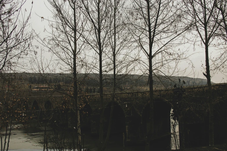 the view of a forest and a stone bridge