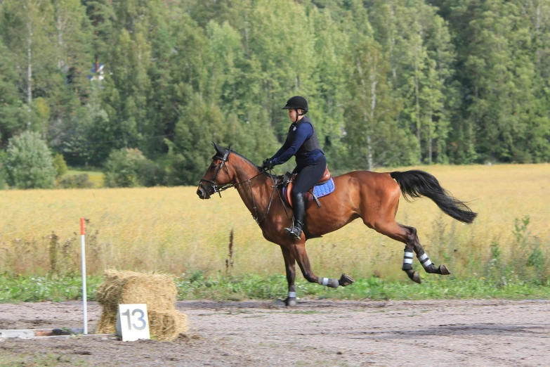 a person in the middle of riding on a horse