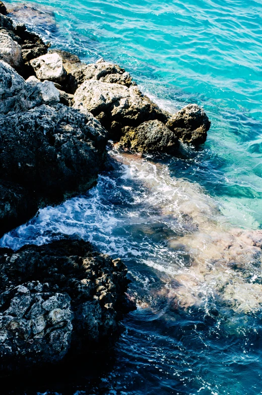 a large bird sitting on rocks by the ocean