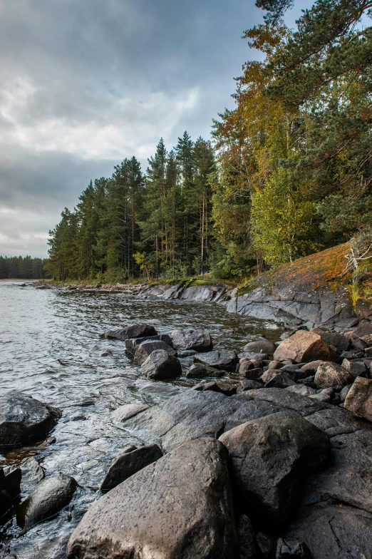 a small rocky shore that extends into a body of water with trees in the distance