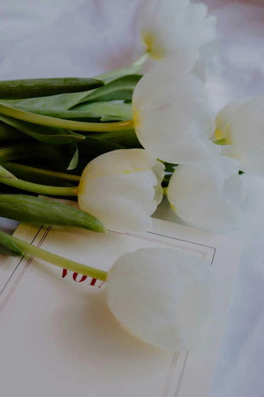 the bouquet of tulips has been placed beside the card