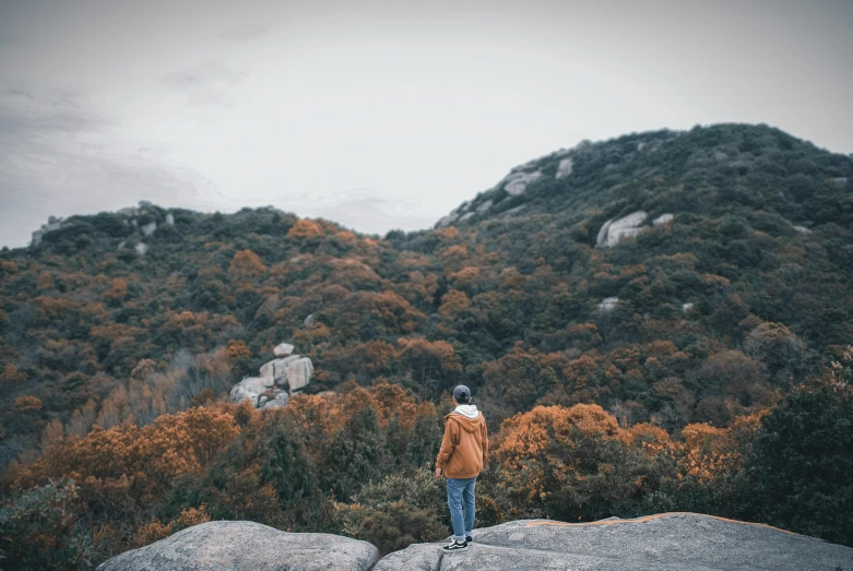 a person standing on top of a large boulder in the wilderness