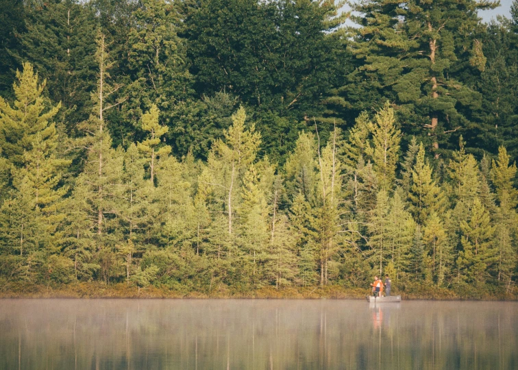 two people fishing on the edge of a lake in front of trees