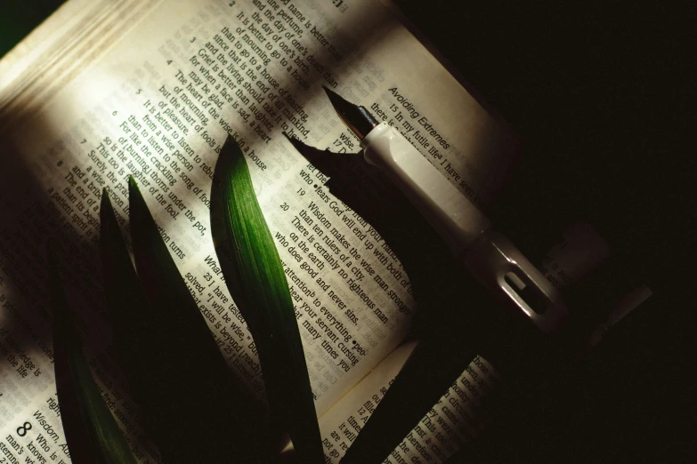 scissors and book with sunlight coming in from the window