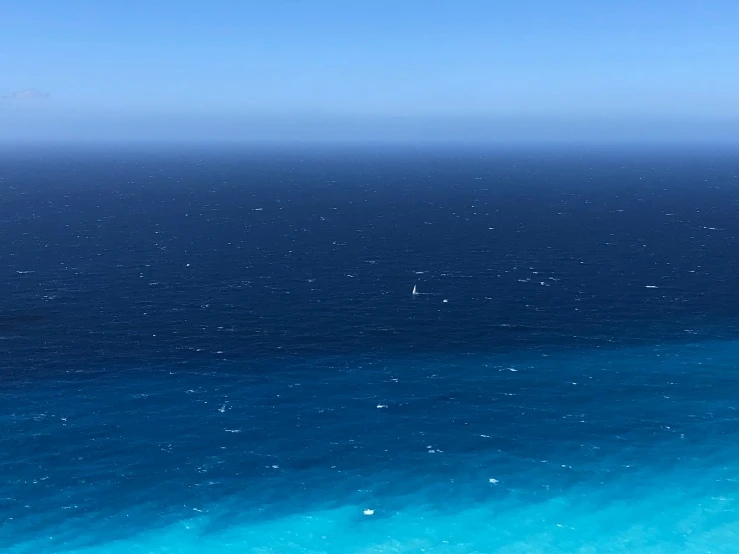 a bird sitting on top of a piece of blue water