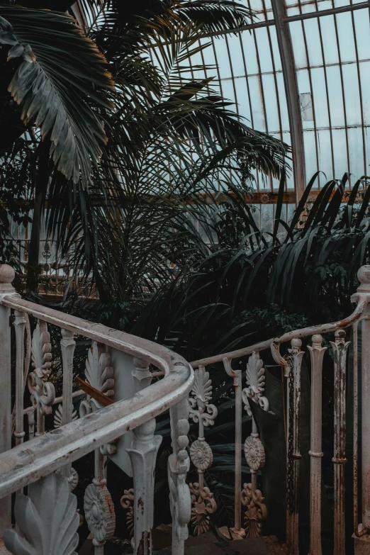 the staircase leading to a room of tropical plants