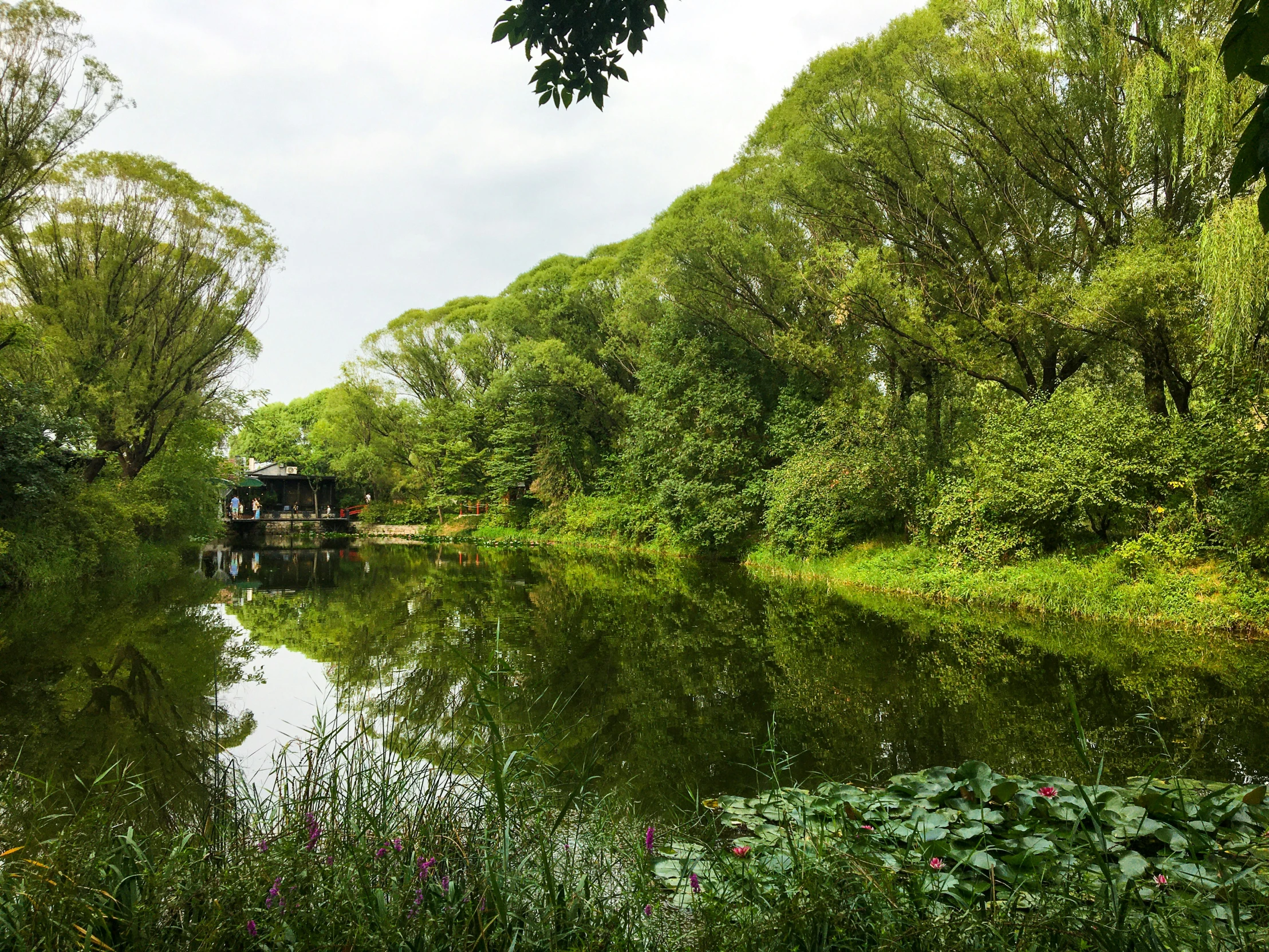 some water and trees in a wide lake