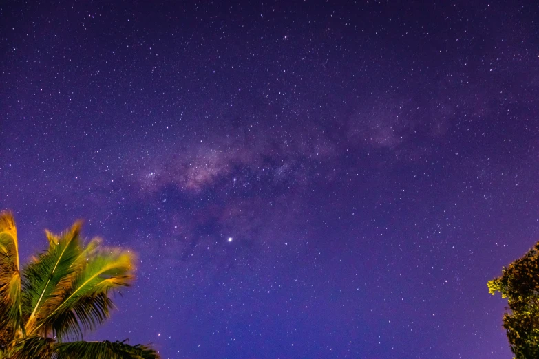 some trees and clouds at night time