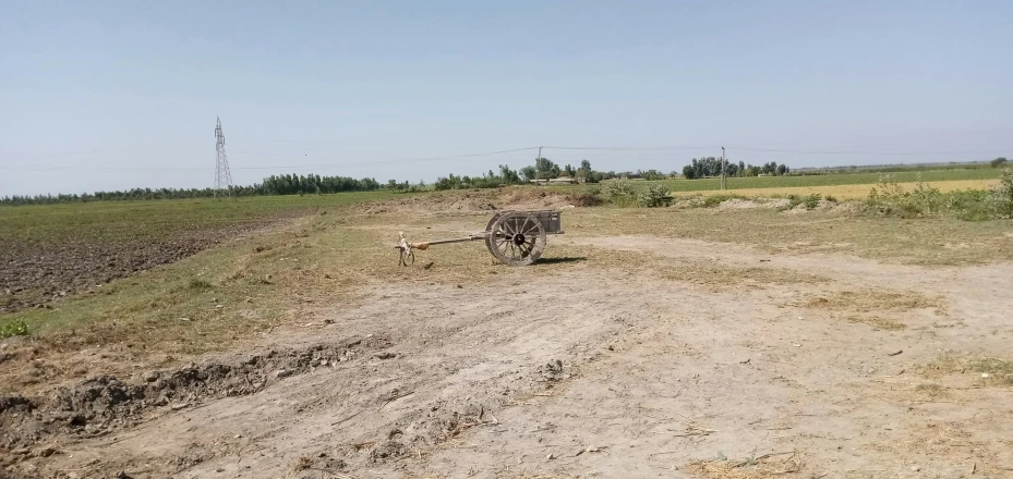 there is a large horse standing in the dirt