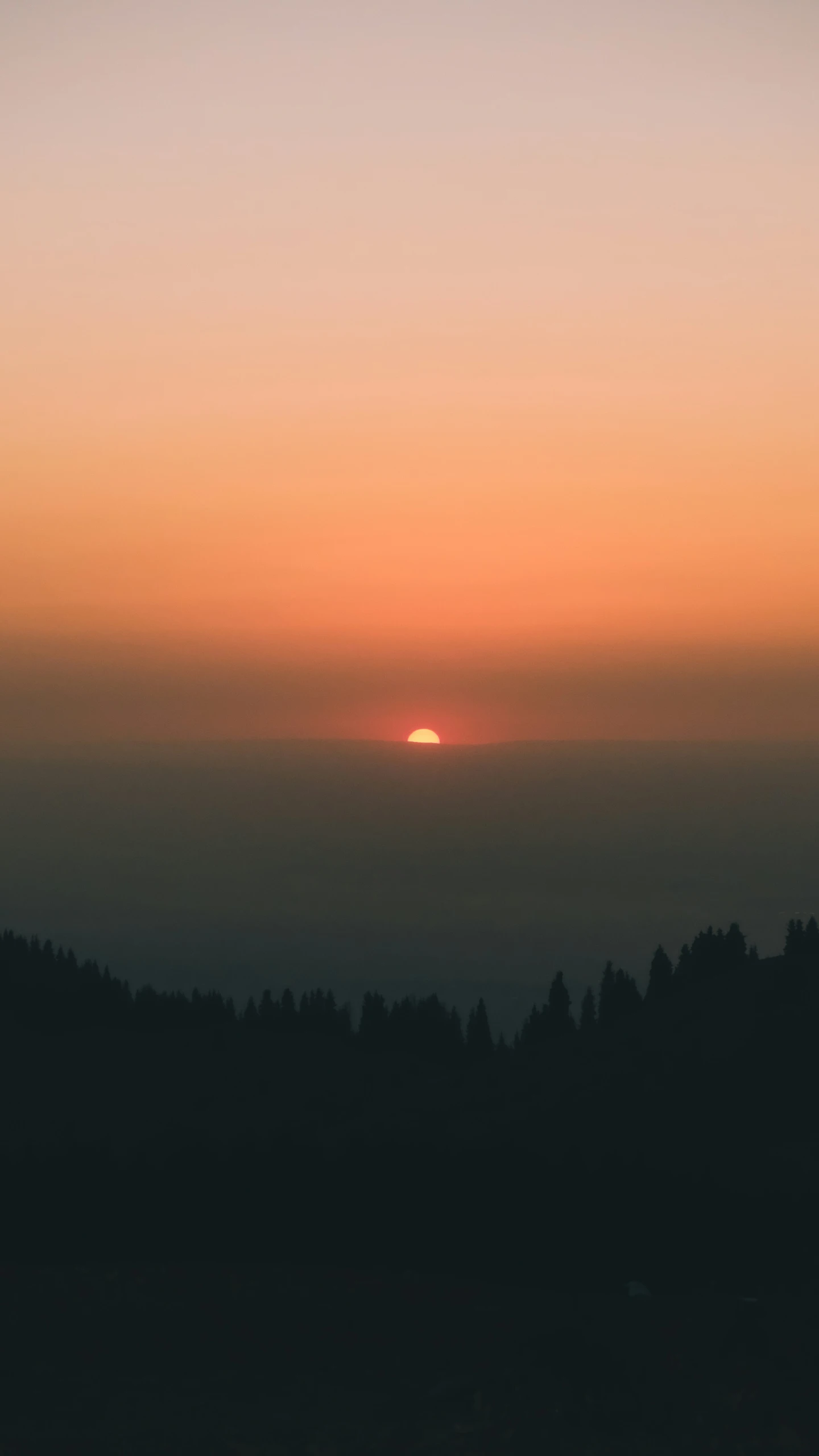 the setting sun in a foggy sky with pine trees