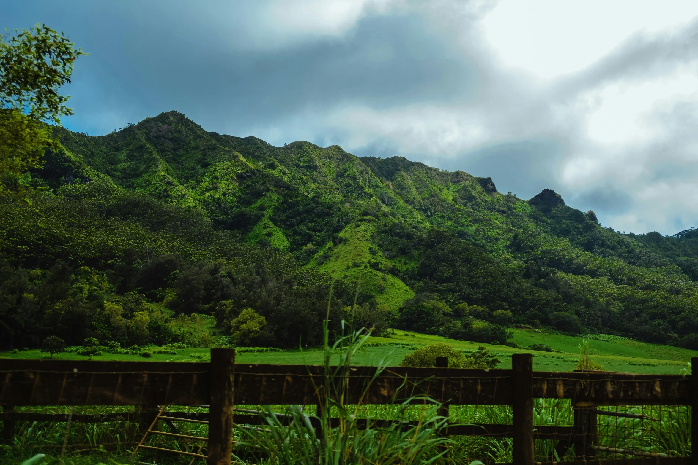 a bench sitting in front of a lush green field