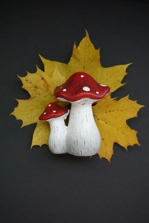 two mushrooms sitting next to each other near a yellow maple leaf