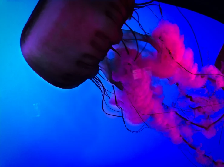 a jelly fish floating under purple and blue lighting