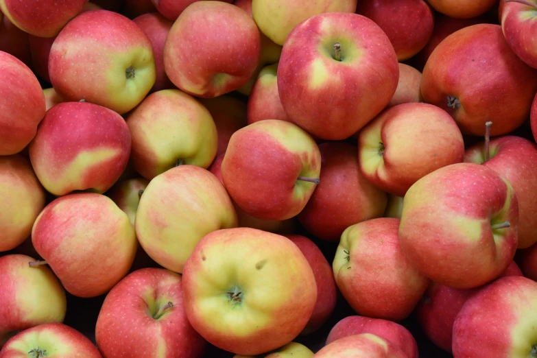 a large pile of red apples sitting next to each other