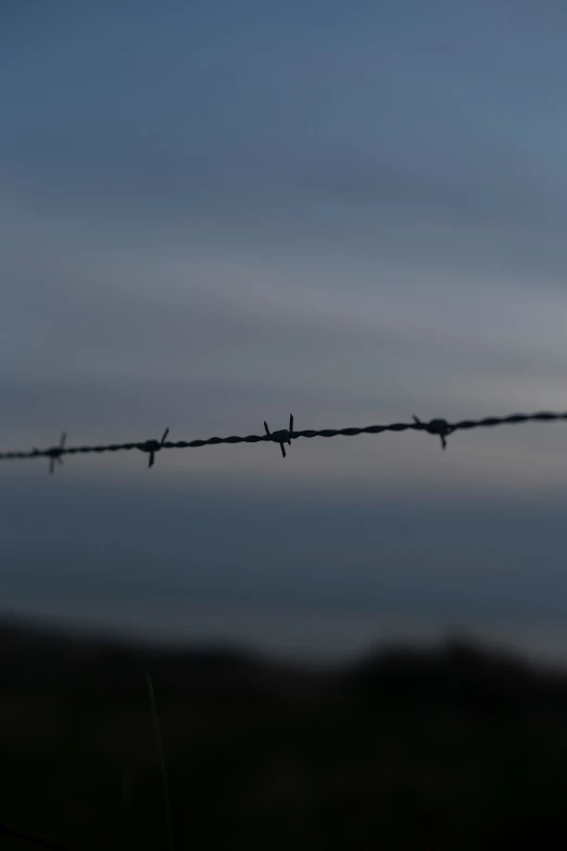 some little birds are sitting on a barbed wire