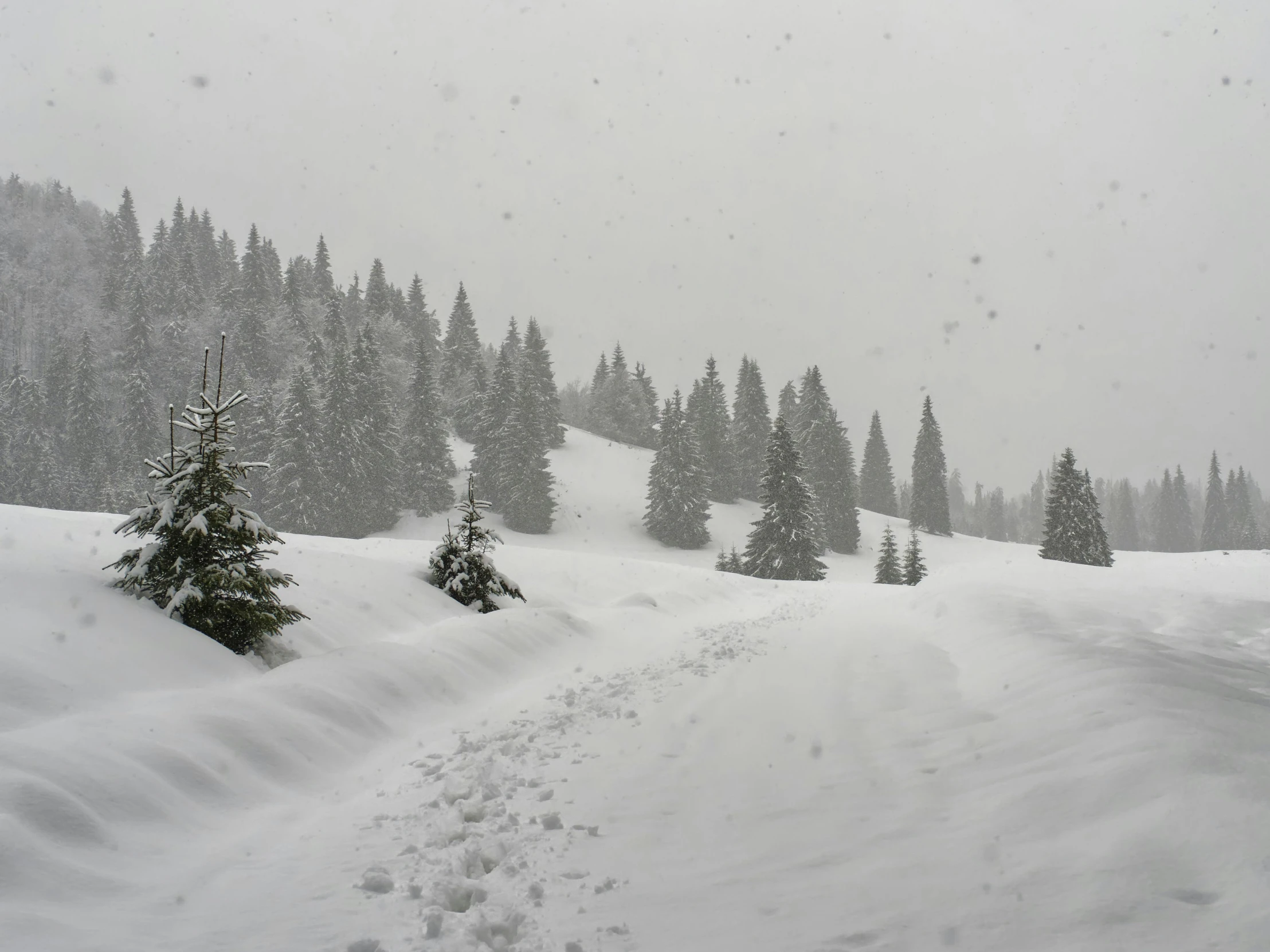 a person skiing down a snowy mountain on a trail