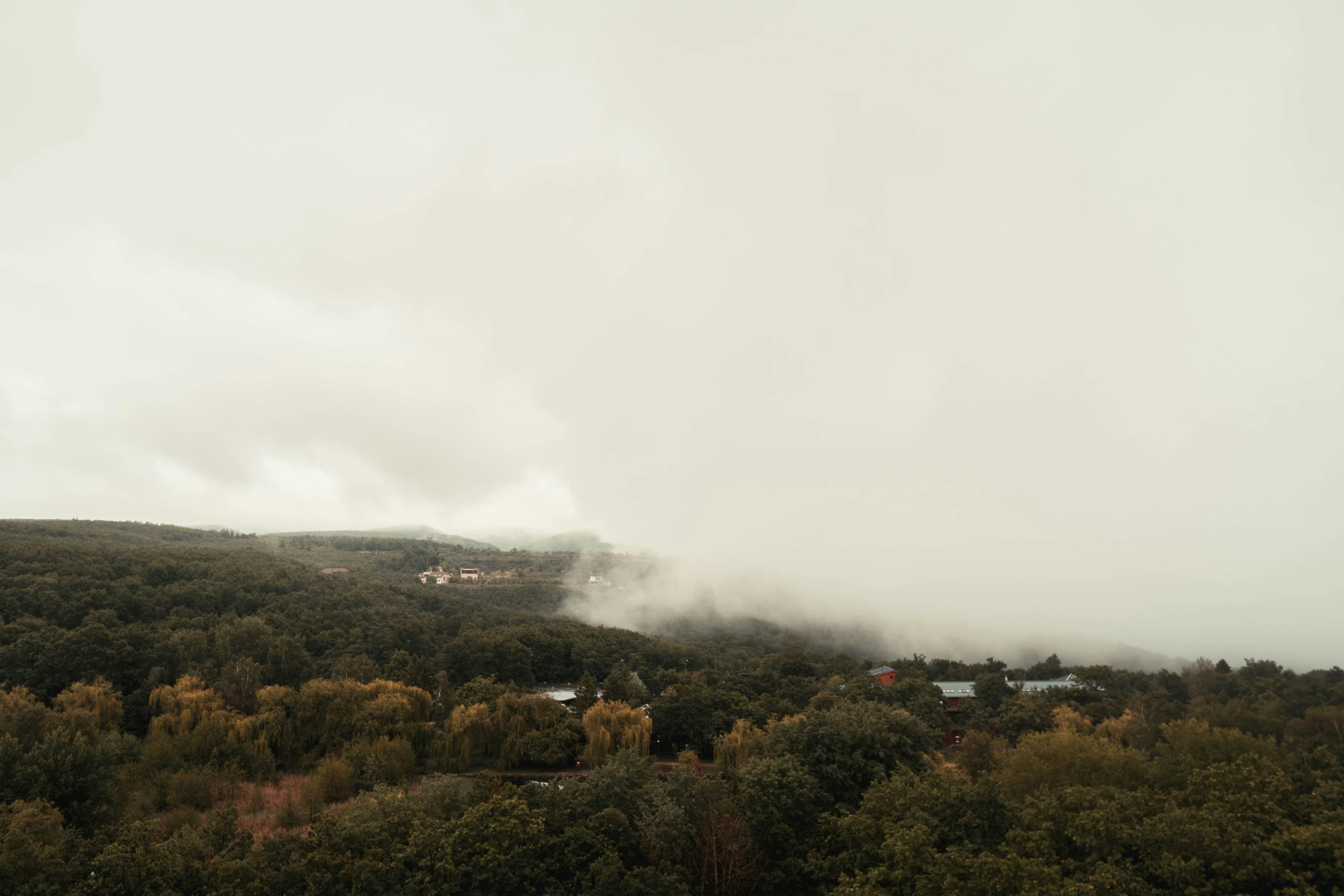 the view of some trees and fog in the mountains