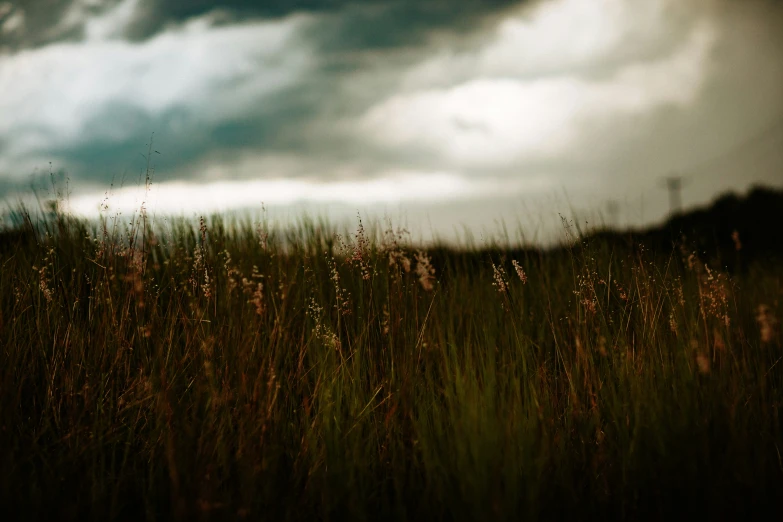 some brown grass and a cloudy sky and some clouds