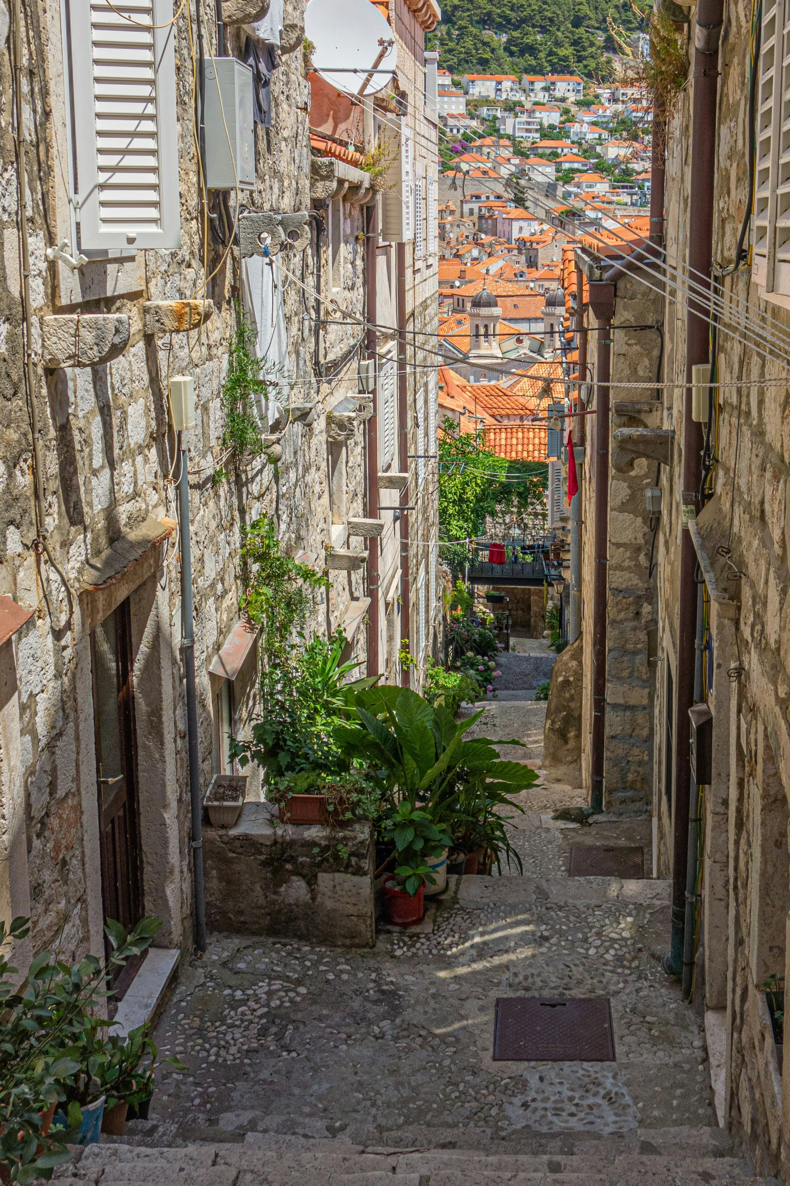 a street is empty with potted plants and buildings