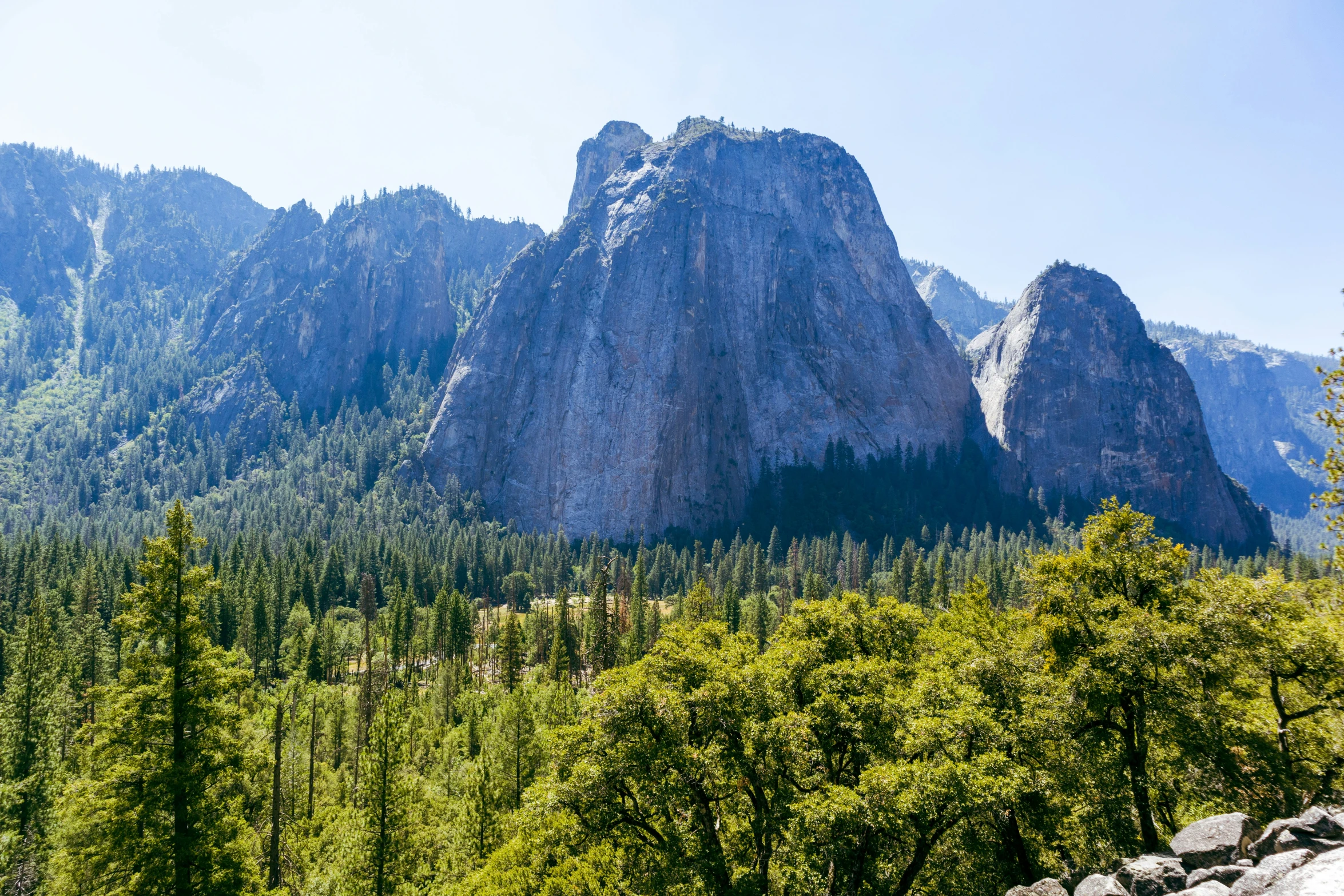 mountains that are next to a forest filled with trees