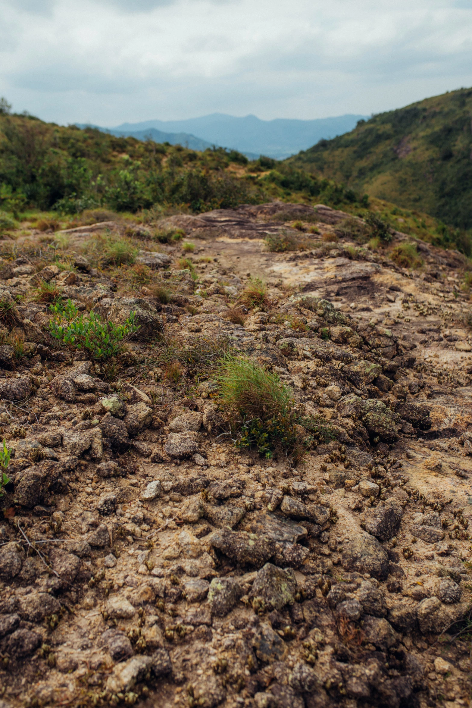 a dirty hill with a single bench on top