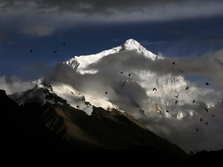 a snow - capped mountain with some birds flying around it