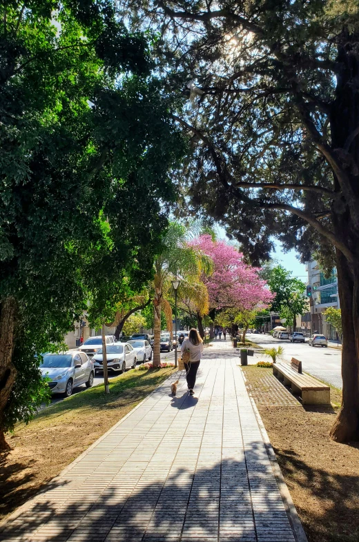 a person walking down the side walk in the day