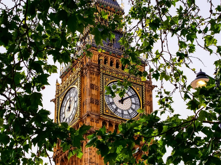 a clock is on a tower between the treetops