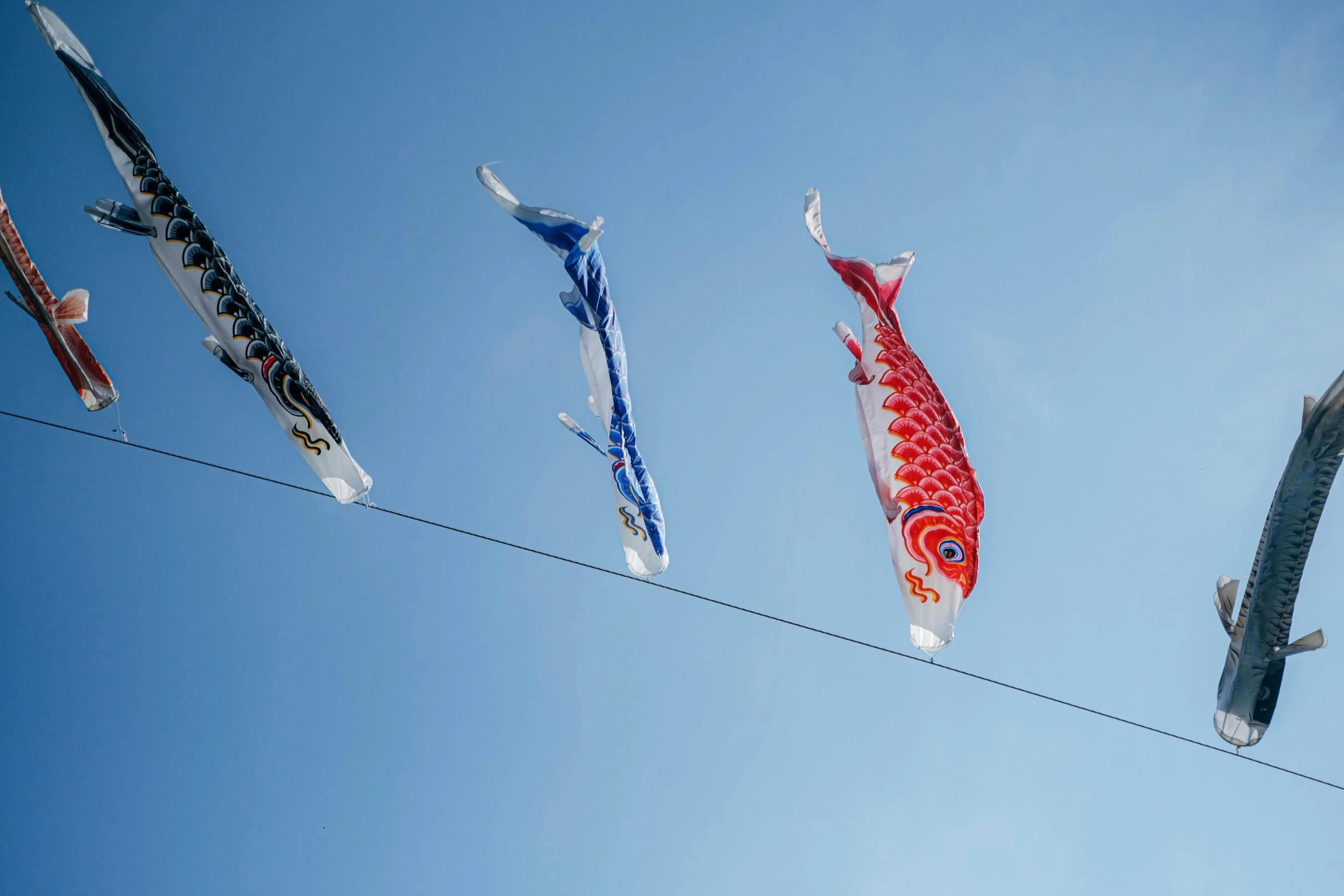 fish and rope against a blue sky with no clouds