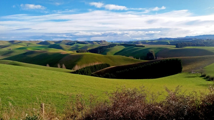 a lush green field with blue sky and white clouds