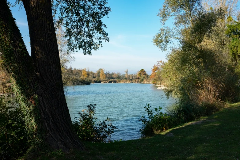 the bench is sitting on the grass near the water