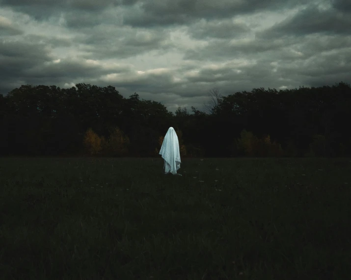 a ghostly person walking through a grassy field