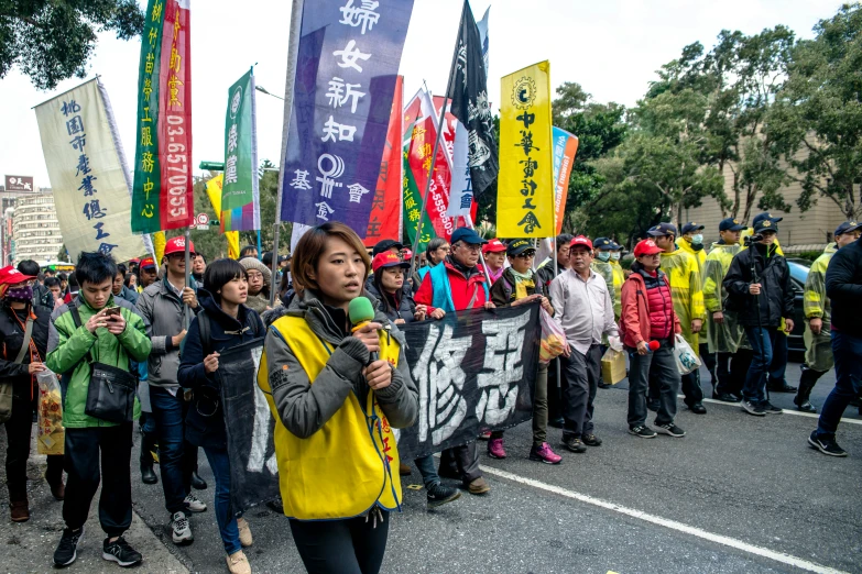 large group of people are carrying flags and banners