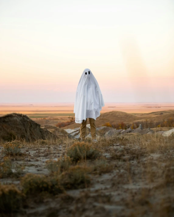 a person standing on a hill wearing a white ghost costume